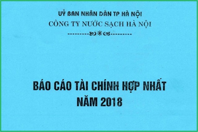 Báo cáo tài chính hợp nhất năm 2018