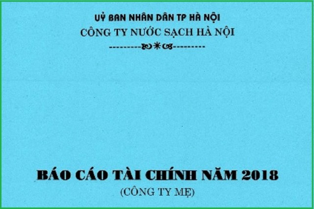 Báo cáo tài chính năm 2018 (Công ty Mẹ)